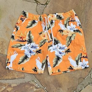 Forever 21 Men 100% Cotton Tropical Parrots Unlined Swim Trunks Shorts Large